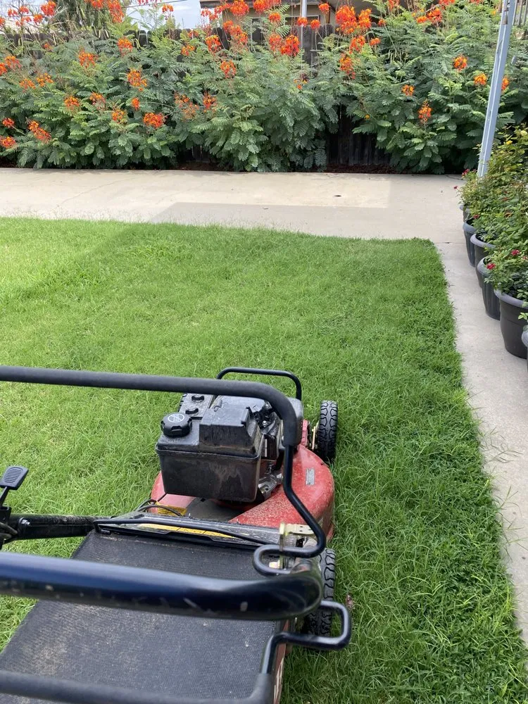 Trusted landscaping services experts serving Fresno, CA - GreenVision Landscaping