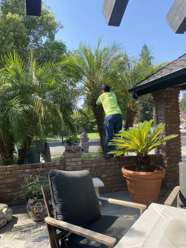 Local yard maintenance experts serving Fresno, CA - GreenVision Landscaping