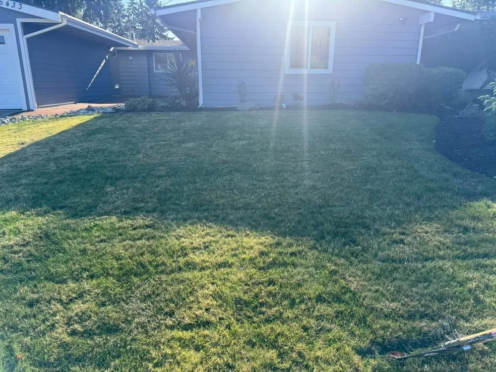 Local yard cleanup service for outdoor upgrades across Sammamish, WA - GreenVista Landscaping Sammamish