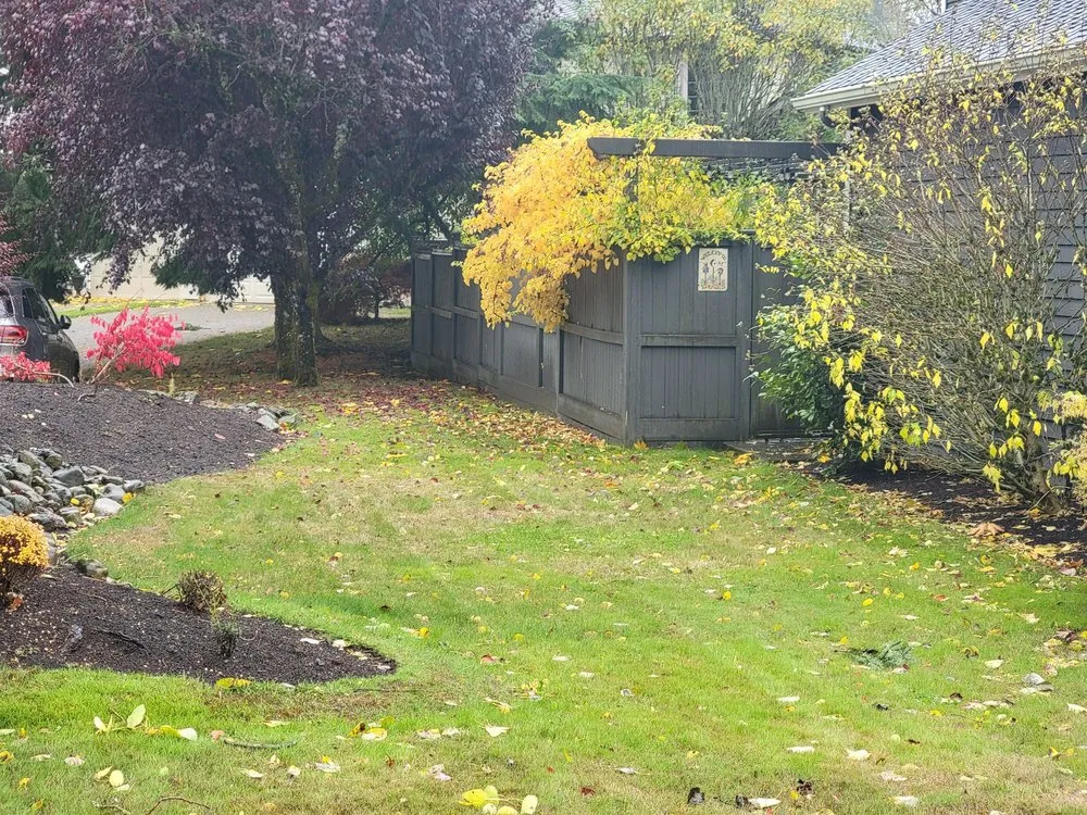 Professional yard maintenance in Sammamish, WA - GreenVista Landscaping Sammamish