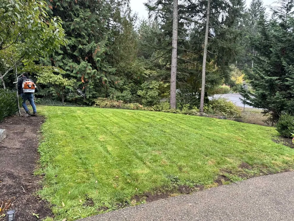 Top-rated yard maintenance in Sammamish, WA by GreenVista Landscaping Sammamish