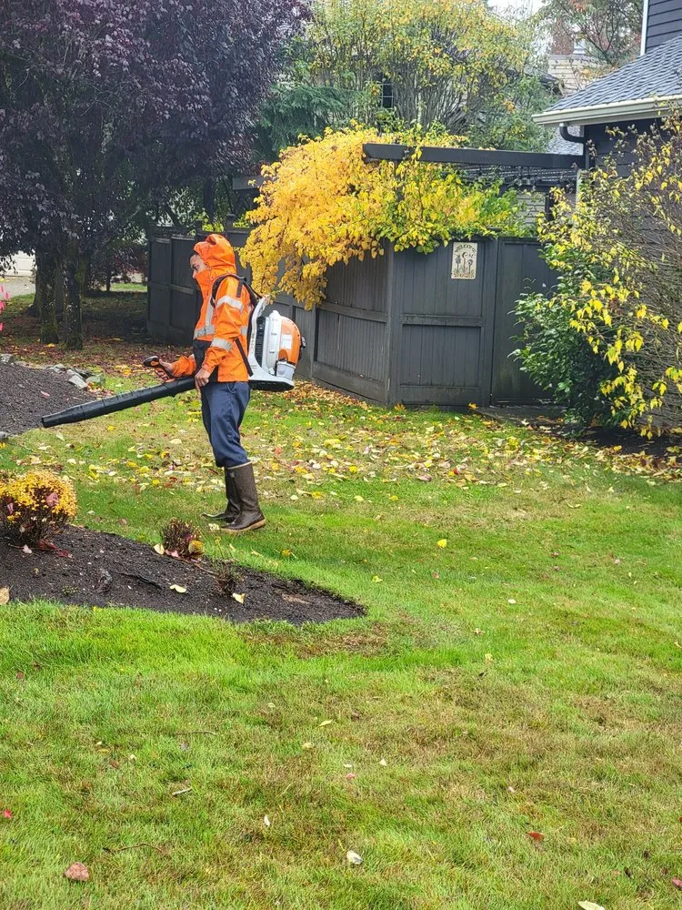 Professional yard cleanup service experts serving Sammamish, WA - GreenVista Landscaping Sammamish
