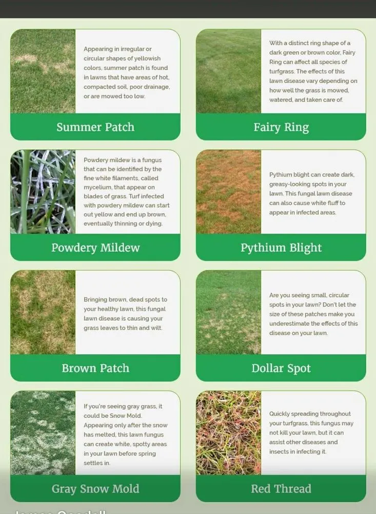 Custom outdoor landscaping in Sammamish, WA by GreenVista Landscaping Sammamish