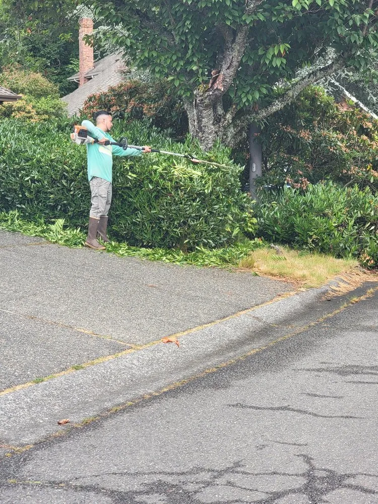 Reliable garden landscaping for beautiful yards in Sammamish, WA by GreenVista Landscaping Sammamish