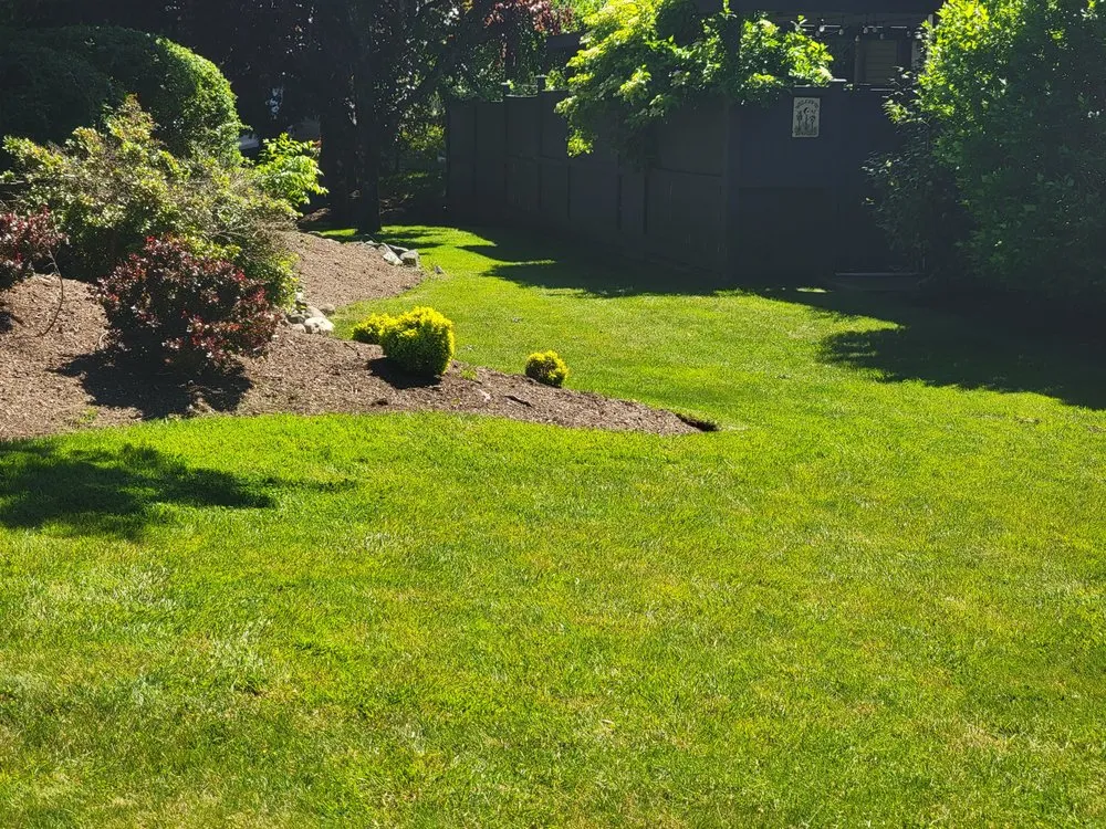 Affordable landscape installation in Sammamish, WA by GreenVista Landscaping Sammamish