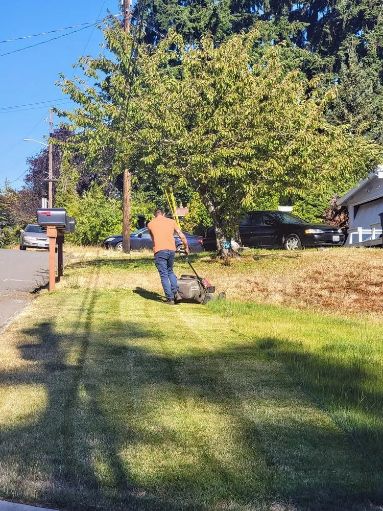 Local yard cleanup service in Sammamish, WA - GreenVista Landscaping Sammamish