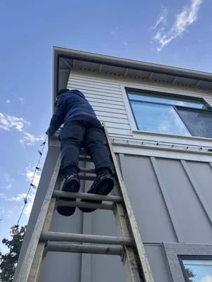 GreenVista Landscaping Sammamish