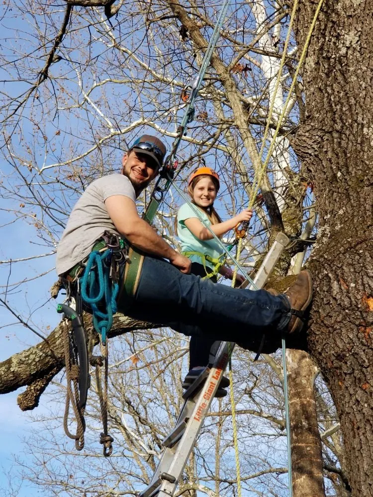 Local landscape design for year-round maintenance across Poplar Bluff, MO - Greenwall And Sons Tree Care