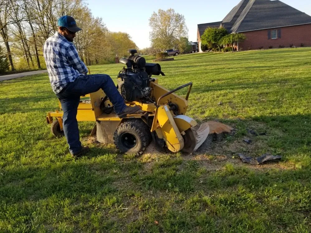 Trusted residential landscaping in Poplar Bluff, MO by Greenwall And Sons Tree Care