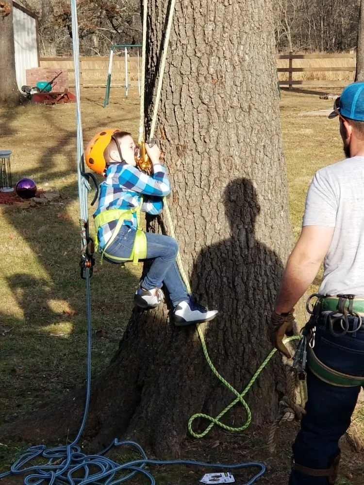 Expert landscaping services in Poplar Bluff, MO by Greenwall And Sons Tree Care