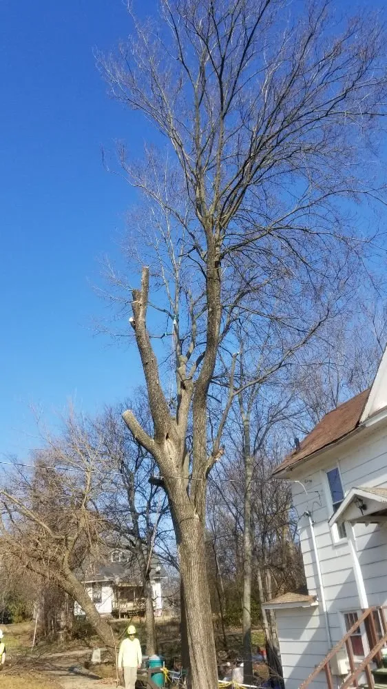 Custom garden landscaping in Poplar Bluff, MO - Greenwall And Sons Tree Care