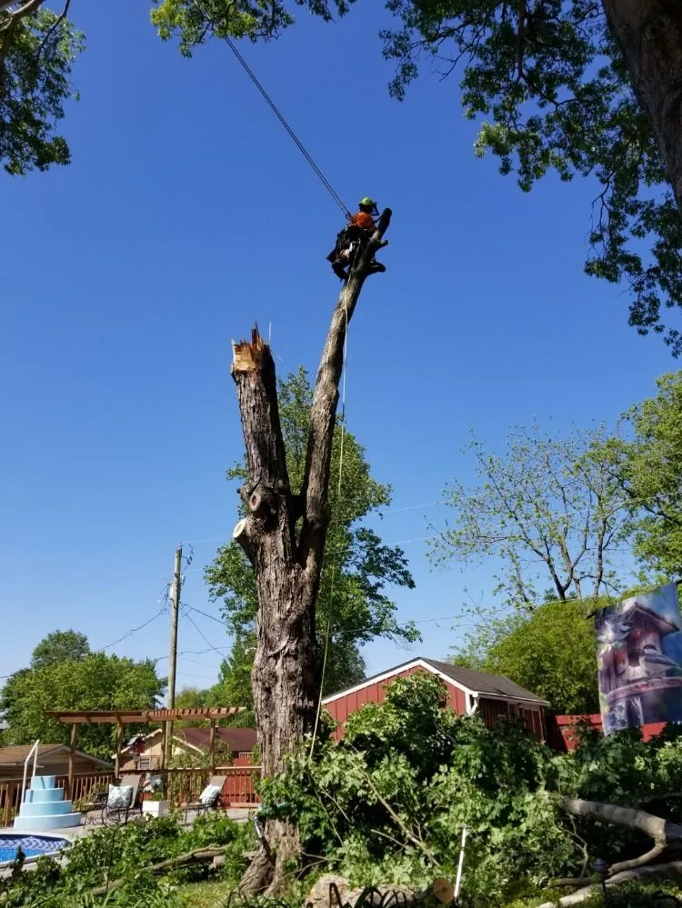 Custom garden landscaping for residential properties across Poplar Bluff, MO - Greenwall And Sons Tree Care