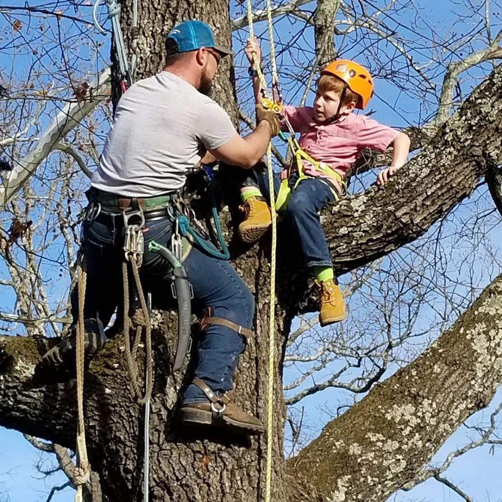 Professional yard cleanup service in Poplar Bluff, MO by Greenwall And Sons Tree Care