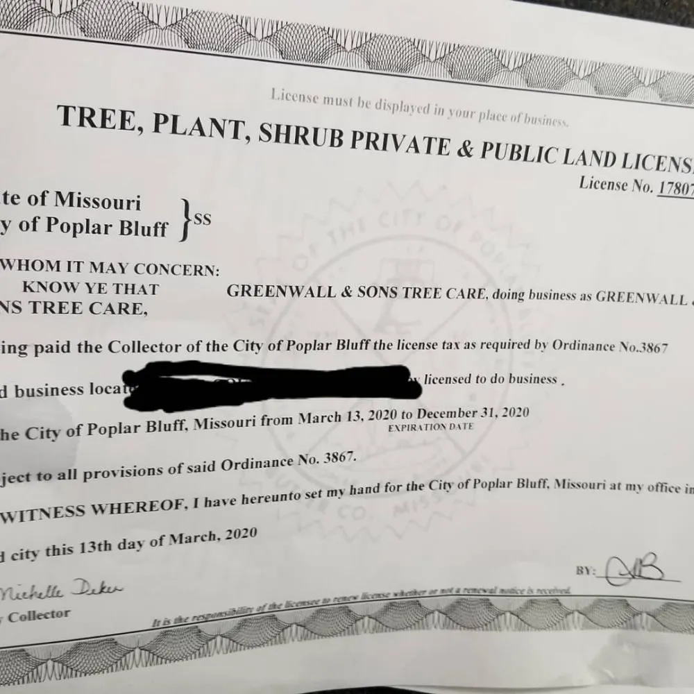 Reliable landscaping services in Poplar Bluff, MO - Greenwall And Sons Tree Care