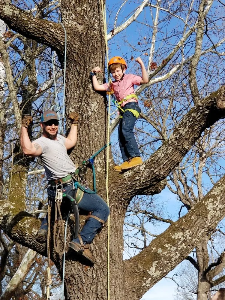 Top-rated landscape installation in Poplar Bluff, MO by Greenwall And Sons Tree Care