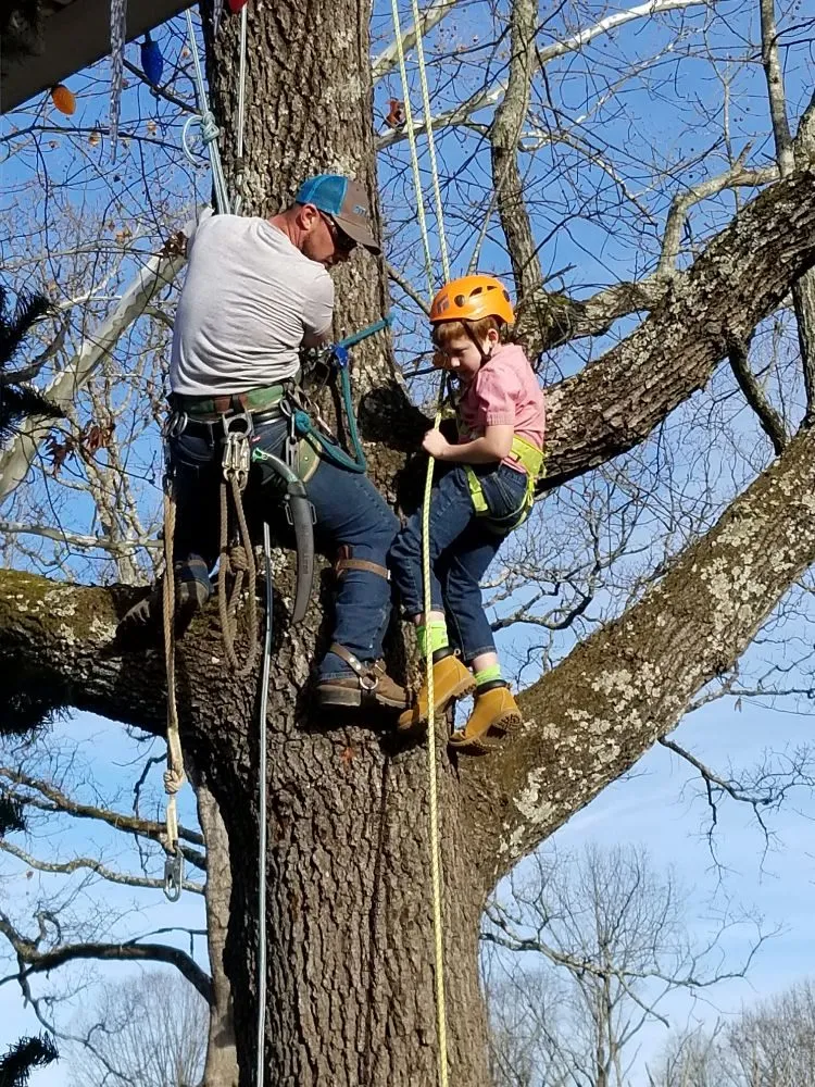 Trusted landscape design for residential properties in Poplar Bluff, MO by Greenwall And Sons Tree Care