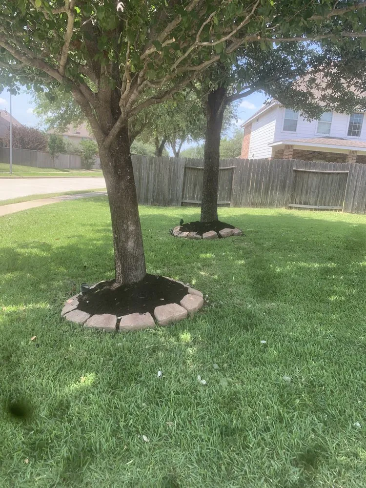 Reliable yard maintenance experts serving Park Row, TX - Greenwave Landscape and Land Care Service