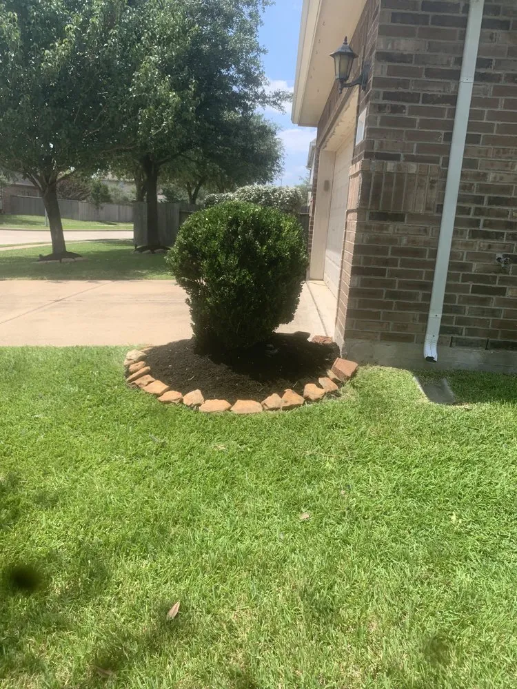 Professional yard maintenance for residential properties in Park Row, TX by Greenwave Landscape and Land Care Service