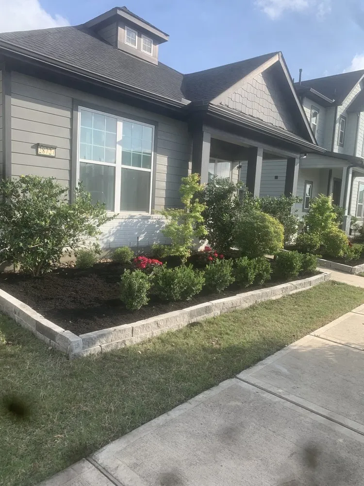 Local landscape design in Park Row, TX - Greenwave Landscape and Land Care Service