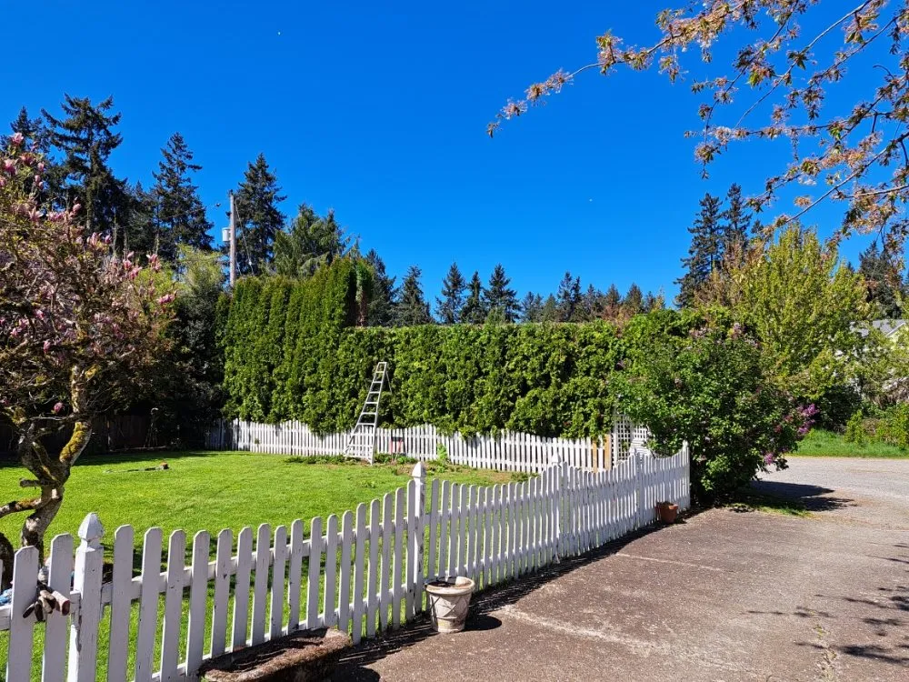 Custom yard cleanup service experts serving Graham, WA - Greenwave Landscaping And Lawn Services