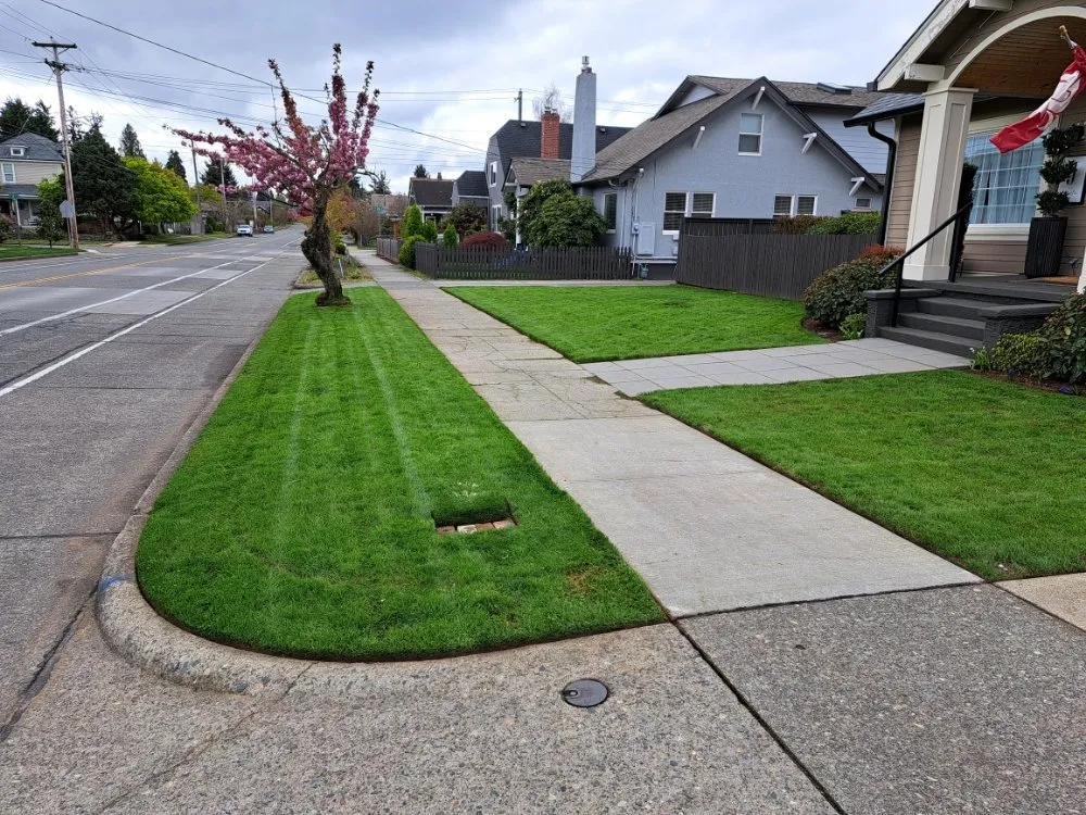 Local landscape installation in Graham, WA by Greenwave Landscaping And Lawn Services