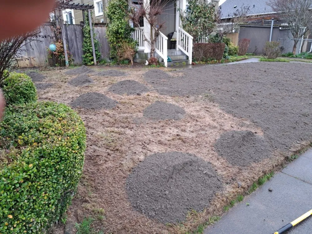 Affordable lawn care service experts serving Graham, WA - Greenwave Landscaping And Lawn Services