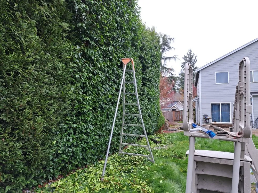 Reliable garden landscaping in Graham, WA - Greenwave Landscaping And Lawn Services