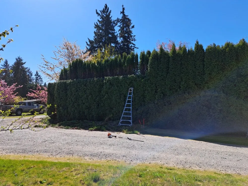 Custom yard cleanup service in Graham, WA - Greenwave Landscaping And Lawn Services