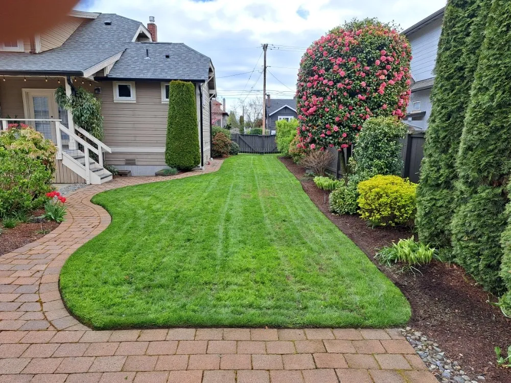Reliable lawn mowing service in Graham, WA by Greenwave Landscaping And Lawn Services