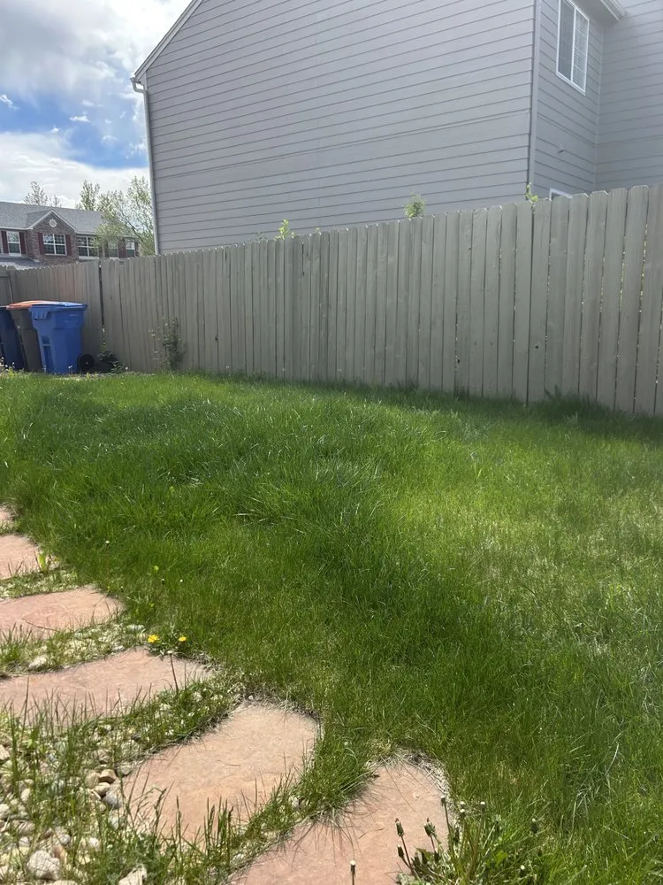 Professional yard cleanup service near you in Superior, CO by Greenway Cuts