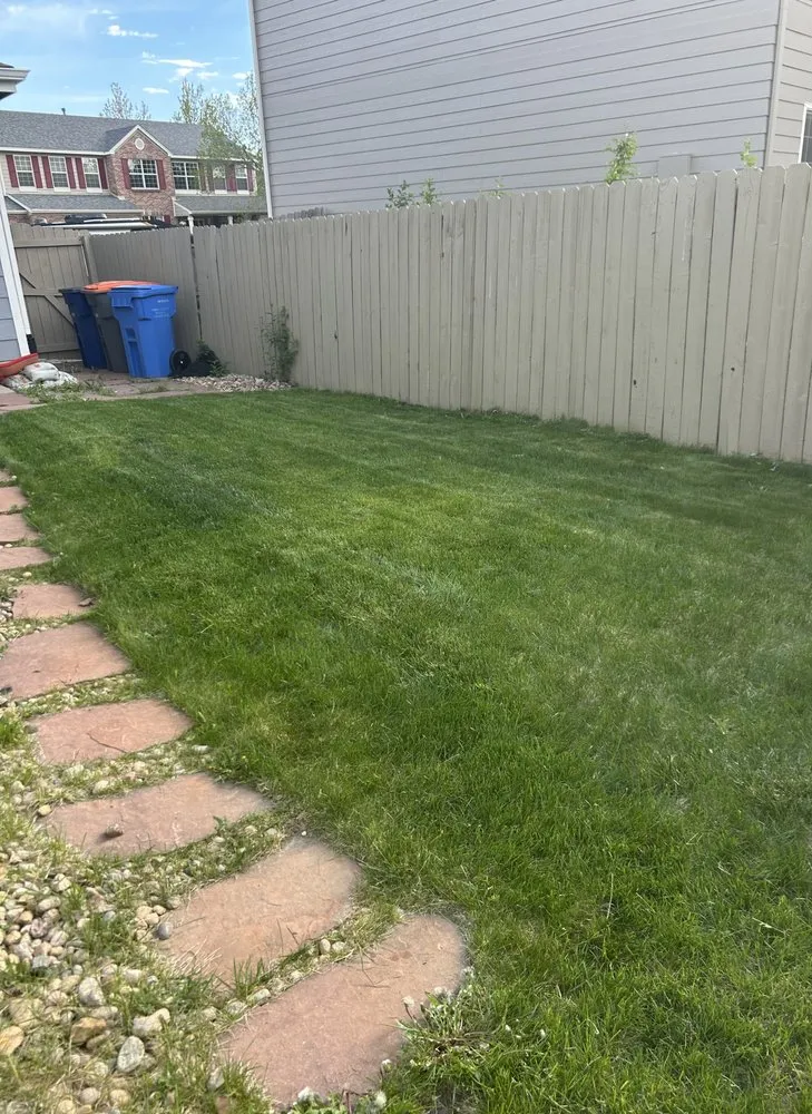 Expert yard cleanup service for beautiful yards in Superior, CO by Greenway Cuts