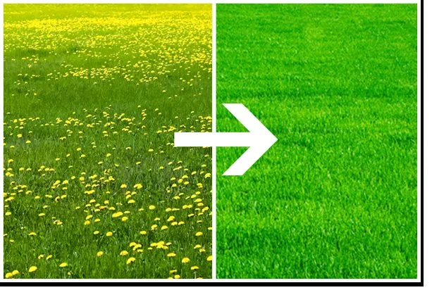 Affordable lawn care service for year-round maintenance in Oakbrook Terrace, IL by Greenway Fertilizing