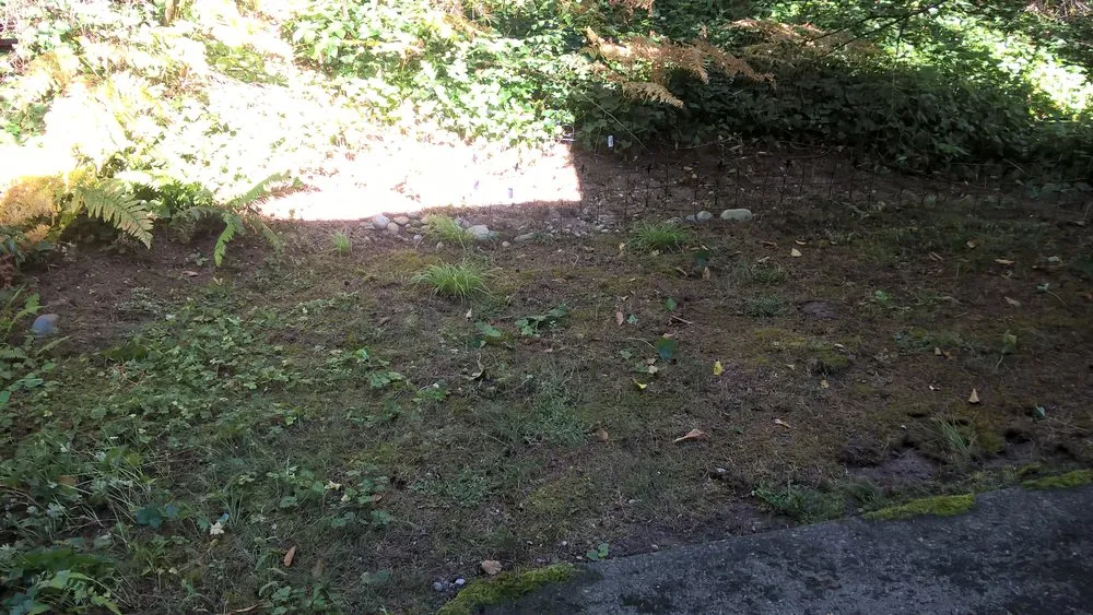 Local landscaping services for residential properties across Snohomish, WA - Greenway Landscape Design & Service