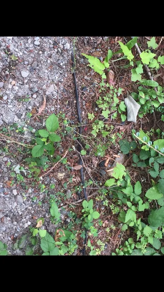 Trusted landscape design in Snohomish, WA by Greenway Landscape Design & Service