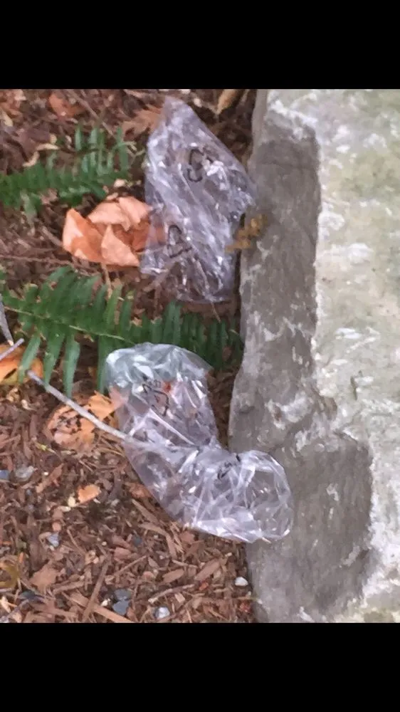 Professional yard maintenance with custom design in Snohomish, WA by Greenway Landscape Design & Service