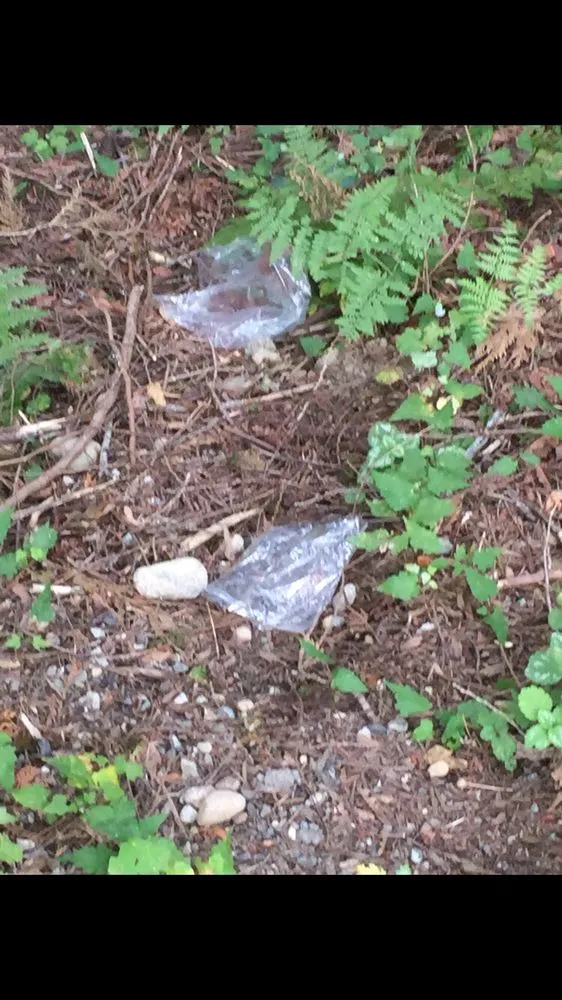 Local yard maintenance for beautiful yards across Snohomish, WA - Greenway Landscape Design & Service