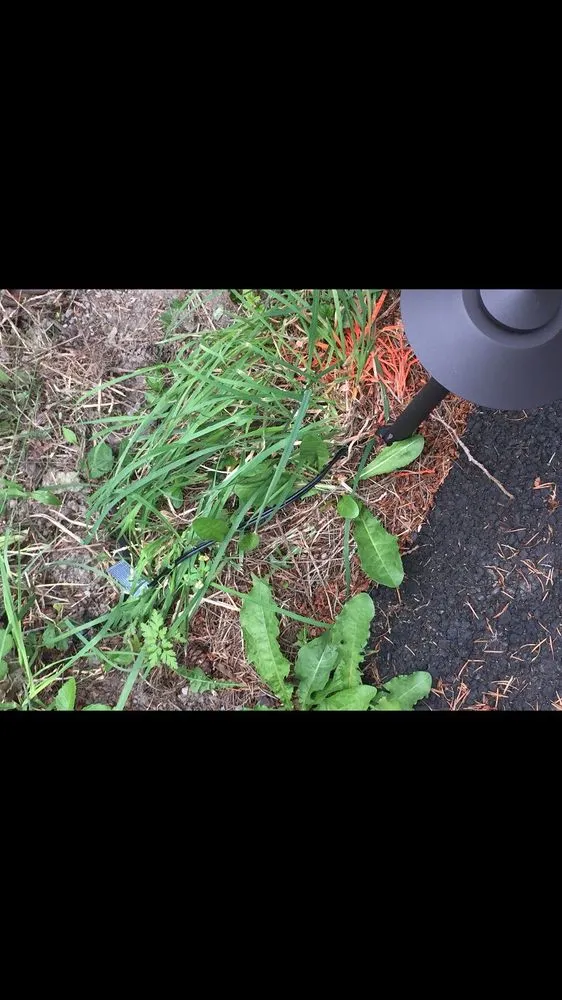 Reliable garden landscaping for homes in Snohomish, WA by Greenway Landscape Design & Service