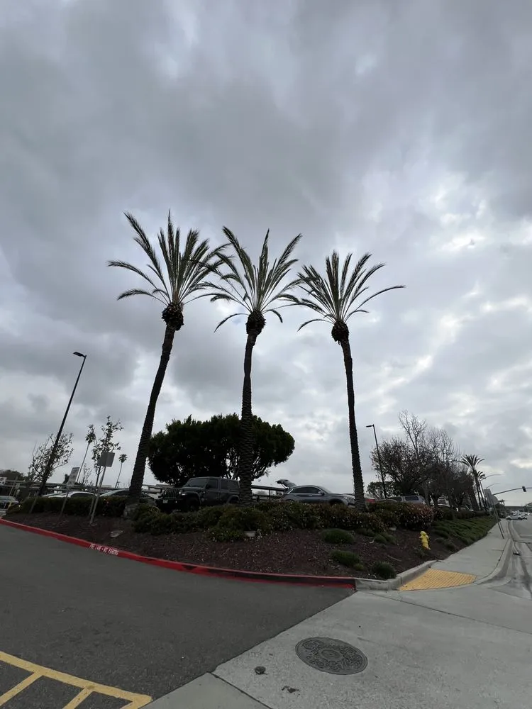 Local outdoor landscaping near you in Lake Elsinore, CA by Greenway Landscape