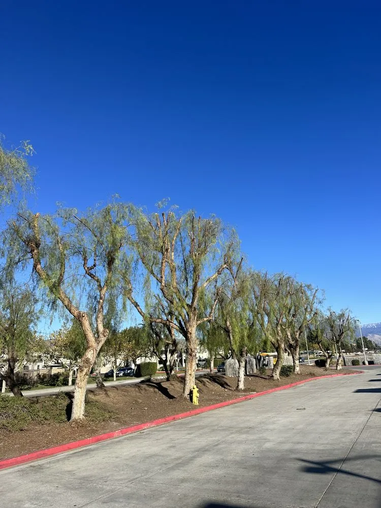 Custom landscape installation in Lake Elsinore, CA - Greenway Landscape