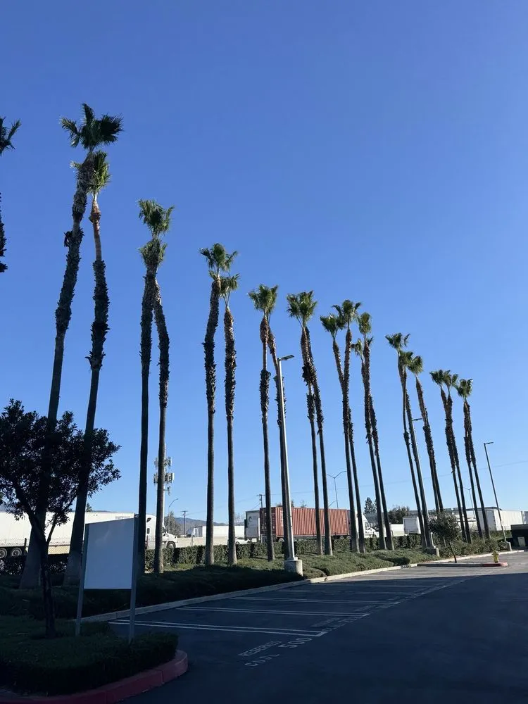 Top-rated landscaping services experts serving Lake Elsinore, CA - Greenway Landscape