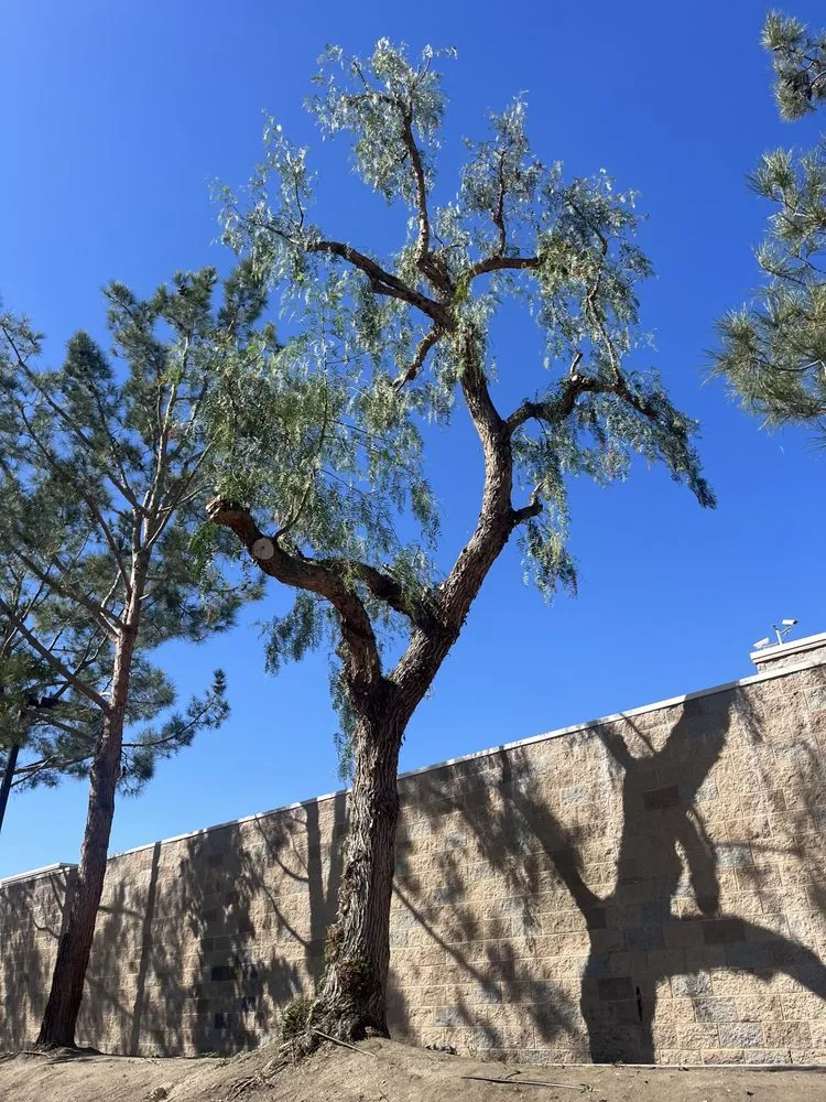 Expert landscape design experts serving Lake Elsinore, CA - Greenway Landscape