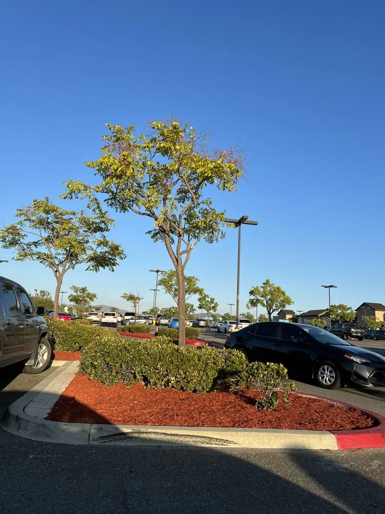 Affordable garden landscaping for beautiful yards across Lake Elsinore, CA - Greenway Landscape