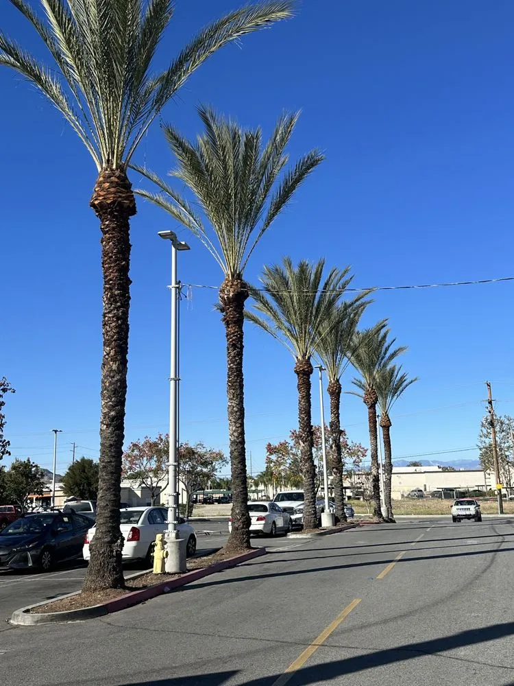 Reliable outdoor landscaping experts serving Lake Elsinore, CA - Greenway Landscape