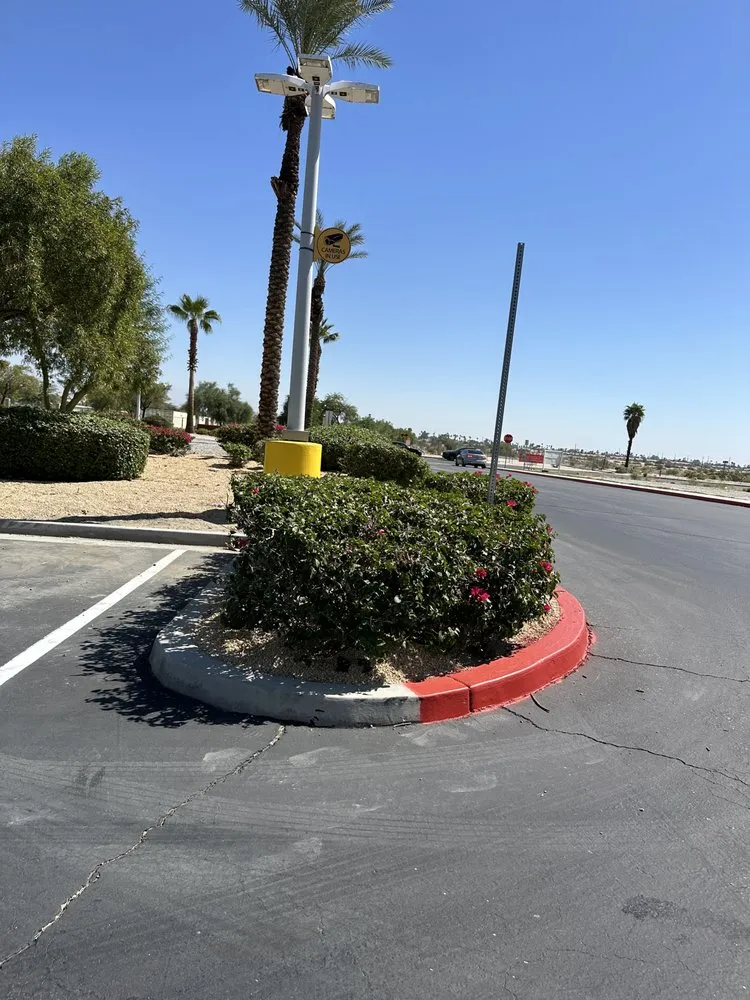 Affordable yard cleanup service experts serving Lake Elsinore, CA - Greenway Landscape