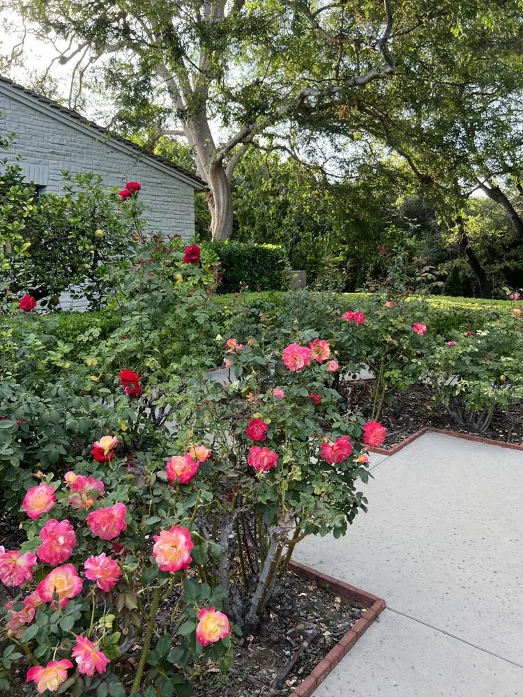 Local outdoor landscaping for outdoor upgrades across Lake Elsinore, CA - Greenway Landscape