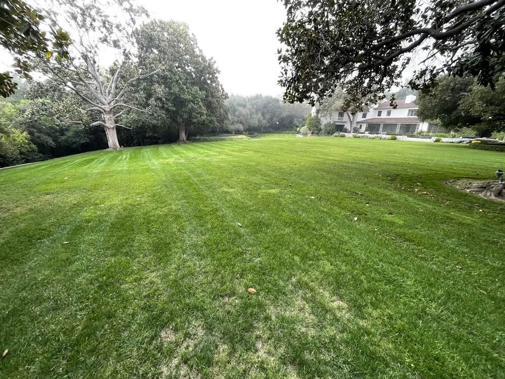 Top-rated lawn care service in Lake Elsinore, CA - Greenway Landscape
