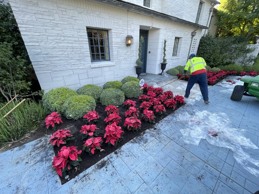 Trusted garden landscaping for outdoor upgrades across Lake Elsinore, CA - Greenway Landscape