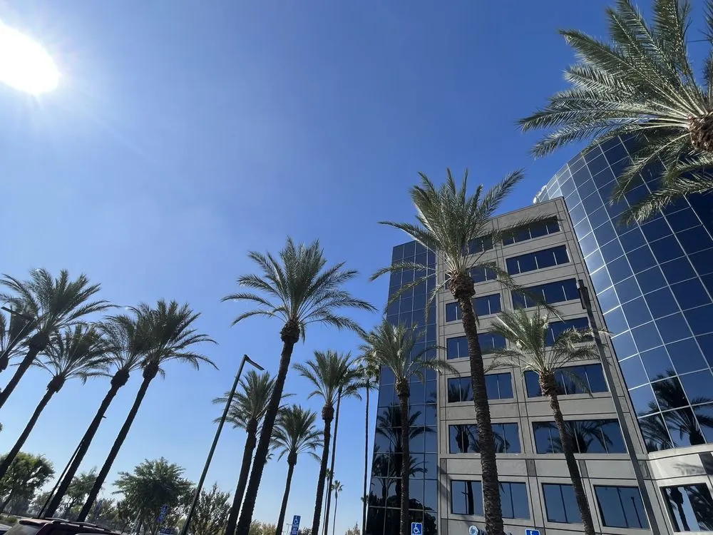 Affordable yard maintenance in Lake Elsinore, CA - Greenway Landscape