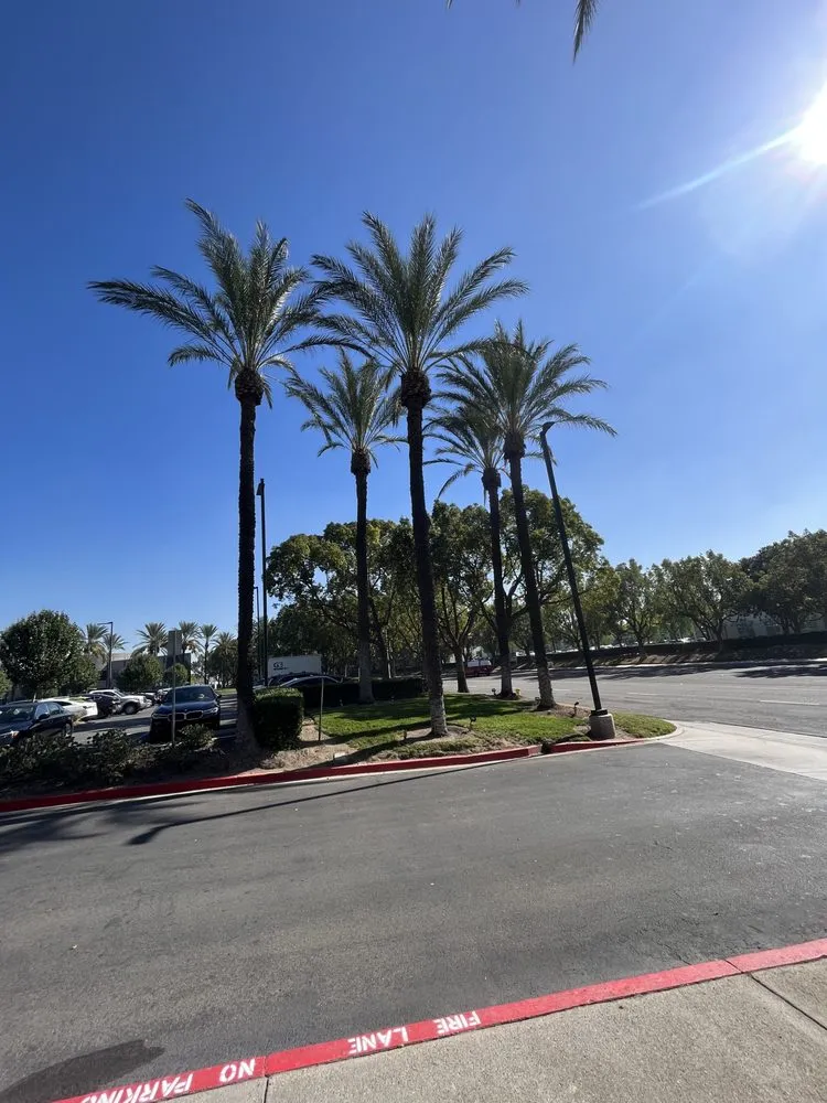 Top-rated landscaping services in Lake Elsinore, CA - Greenway Landscape