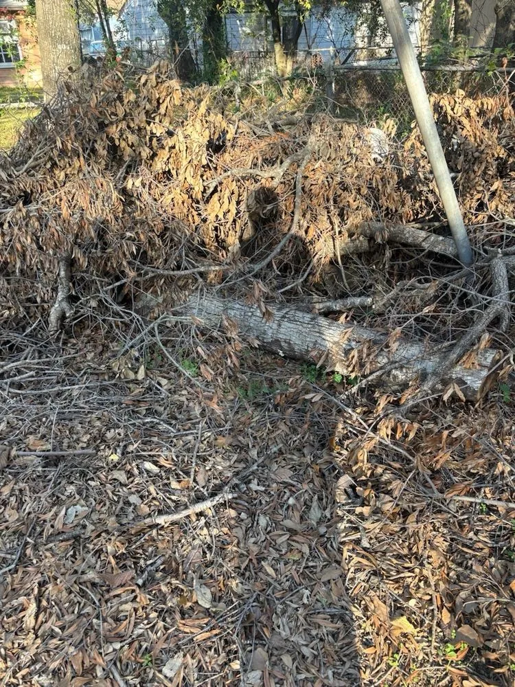 Top-rated lawn mowing service in Humble, TX by Greenway Landscaping & Concrete Services